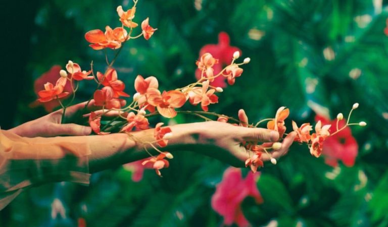 Stress Management Techniques to Deal with Stress