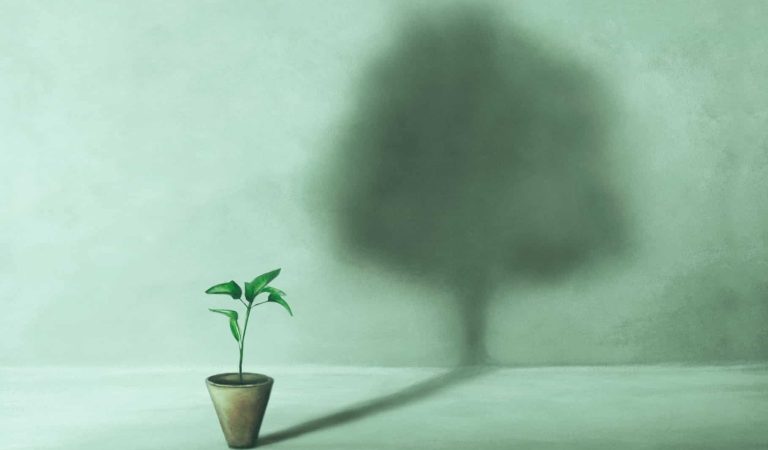 Building Better Mental Health: Tips for Boosting Resilience