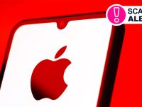 How Scammers Exploit Apple Users