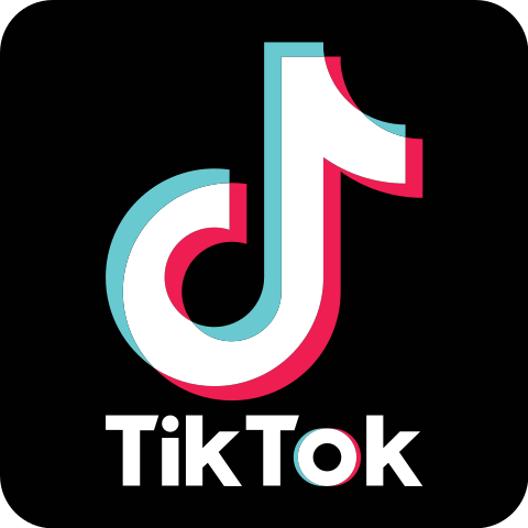 TikTok making money